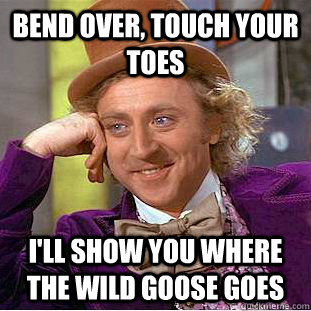 bend over, touch your toes i'll show you where the wild goose goes - bend over, touch your toes i'll show you where the wild goose goes  Condescending Wonka