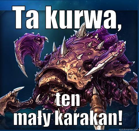 TA KURWA, TEN MAŁY KARAKAN! Misc