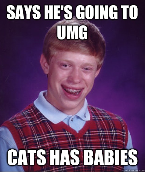 Says he's going to UMG Cats has babies   Bad Luck Brian