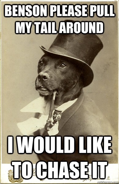 benson please pull my tail around i would like to chase it - benson please pull my tail around i would like to chase it  Old Money Dog