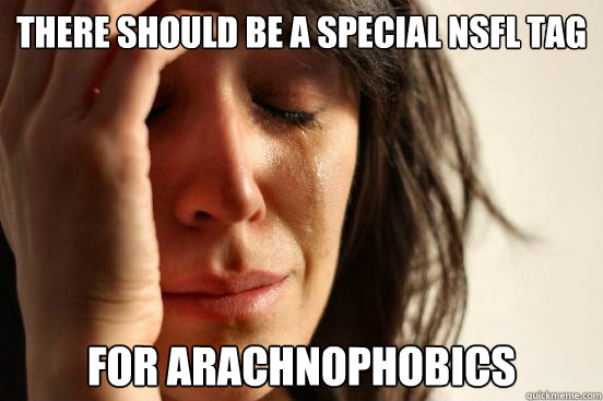 there should be a special NSFL tag for arachnophobics  First World Problems