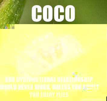 Coco Our dysfunctional relationship would never work, unless you admit you enjoy flies  Misunderstood Spider