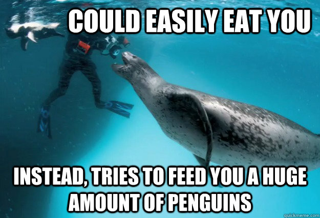             Could easily eat you Instead, tries to feed you a huge amount of penguins -             Could easily eat you Instead, tries to feed you a huge amount of penguins  GGLS Good Guy Leopard seal