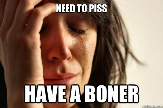 Need to piss Have a boner  First World Problems