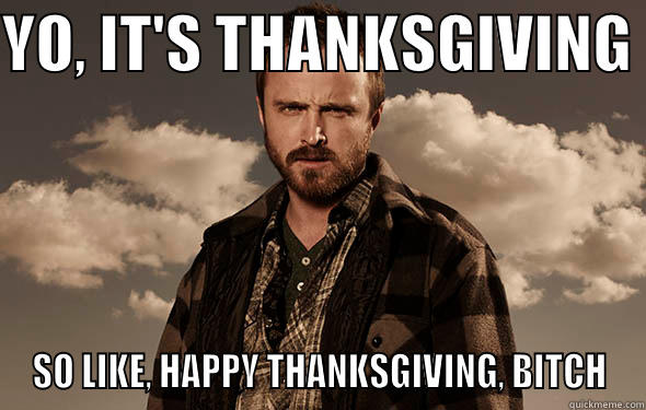 YO, IT'S THANKSGIVING  SO LIKE, HAPPY THANKSGIVING, BITCH Misc