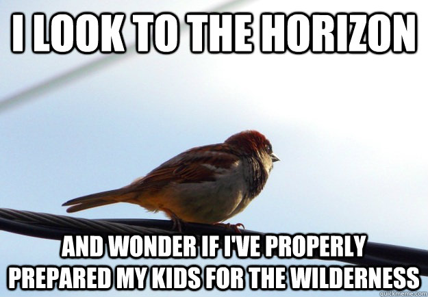 I look to the horizon And wonder if I've properly prepared my kids for the wilderness - I look to the horizon And wonder if I've properly prepared my kids for the wilderness  Horizon Bird