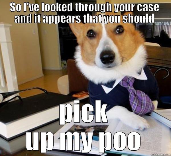 SO I'VE LOOKED THROUGH YOUR CASE AND IT APPEARS THAT YOU SHOULD PICK UP MY POO Lawyer Dog