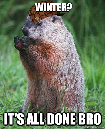 winter? it's all done bro  Scumbag Groundhog
