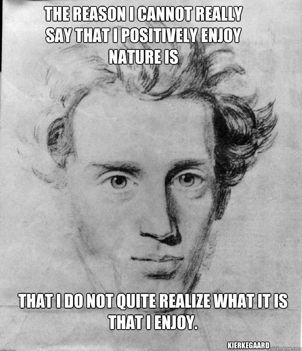 The reason I cannot really say that I positively enjoy nature is that I do not quite realize what it is that I enjoy.  Kierkegaard - The reason I cannot really say that I positively enjoy nature is that I do not quite realize what it is that I enjoy.  Kierkegaard  Concerned Kierkegaard