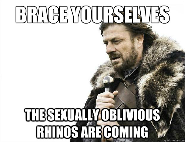 Brace yourselves the sexually oblivious rhinos are coming  Brace Yourselves - Borimir