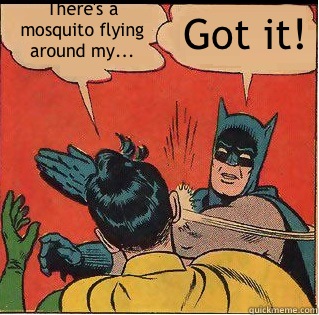 There's a mosquito flying around my... Got it!  Slappin Batman
