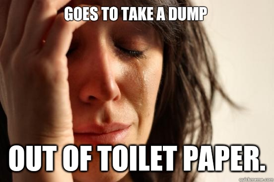 Goes to Take a dump Out of toilet paper.  First World Problems