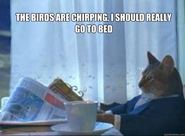 The birds are chirping. I should really go to bed I should really go to bed  I should buy a boat cat