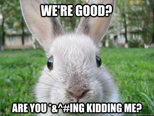 We're Good? Are you *&^#ing Kidding me?  Rabbit webcam