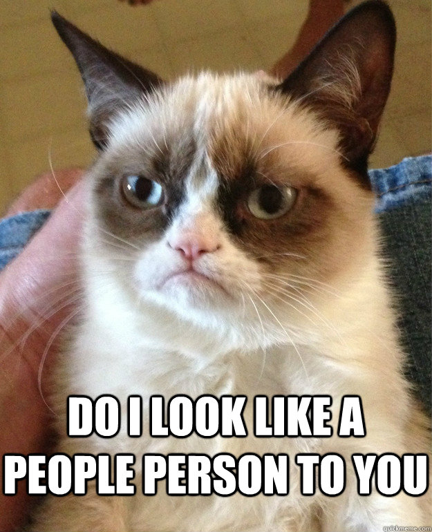  Do I look like a people person to you  Grumpy Cat