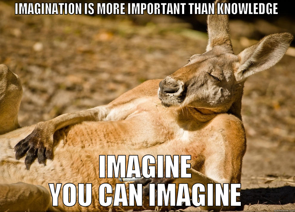 IMAGINATION IS MORE IMPORTANT THAN KNOWLEDGE IMAGINE YOU CAN IMAGINE Misc