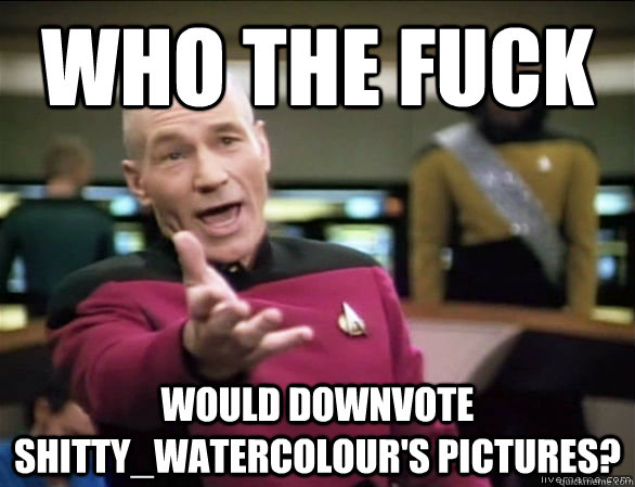 WHO THE FUCK would downvote shitty_watercolour's pictures?  Annoyed Picard HD