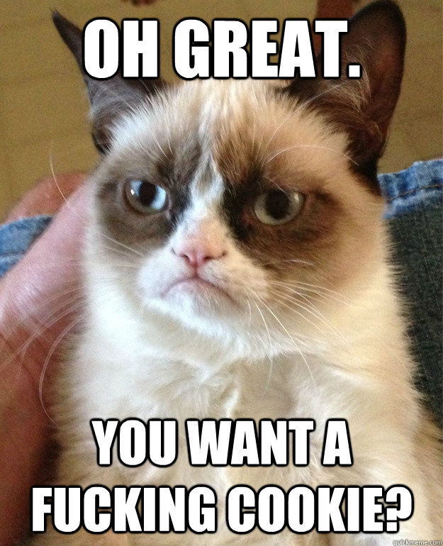 Oh great. You want a fucking cookie?  Grumpy Cat