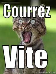 COURREZ VITE Misc