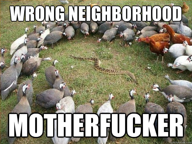 Wrong neighborhood motherfucker  Wrong Neighborhood