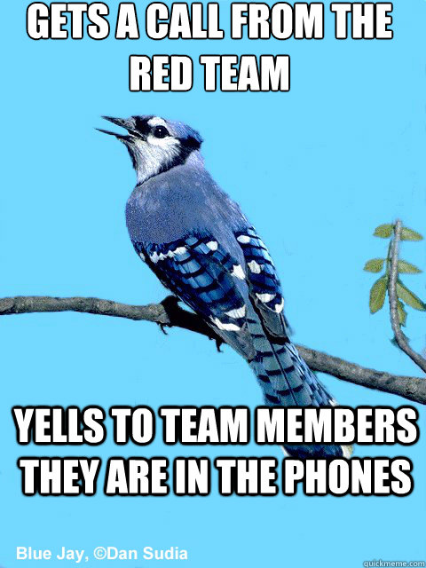 gets a call from the red team yells to team members they are in the phones - gets a call from the red team yells to team members they are in the phones  Blue Team Bird