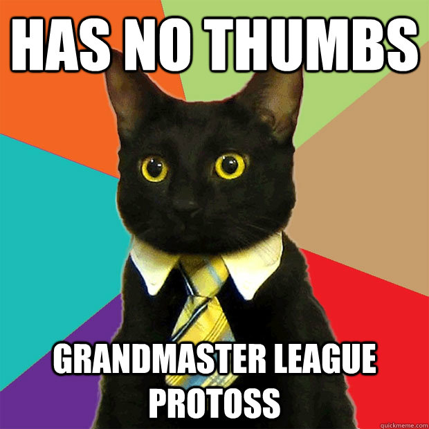 Has no thumbs grandmaster league protoss  Business Cat