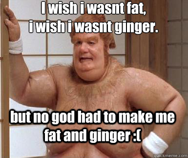 I wish i wasnt fat,
i wish i wasnt ginger.  but no god had to make me fat and ginger :(  Fat Bastard