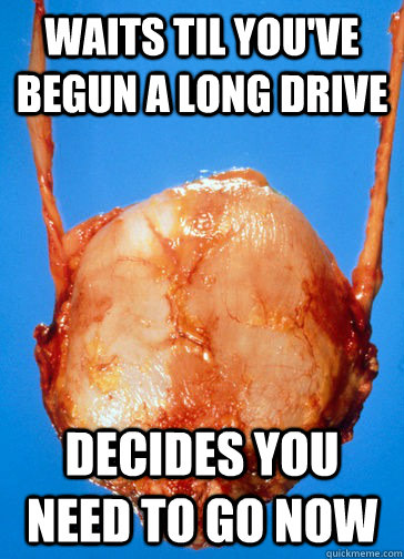 Waits til you've begun a long drive decides you need to go now  Scumbag Bladder