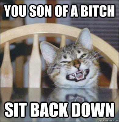 you son of a bitch sit back down  Interrogation Cat