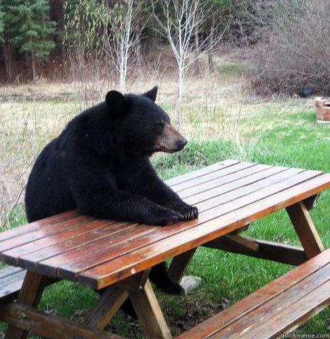   waiting bear