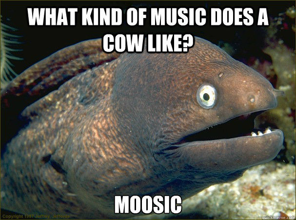 What kind of music does a cow like? moosic  Bad Joke Eel