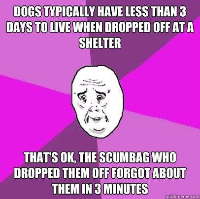 Dogs typically have less than 3 days to live when dropped off at a shelter That's ok, the scumbag who dropped them off forgot about them in 3 minutes  LIfe is Confusing
