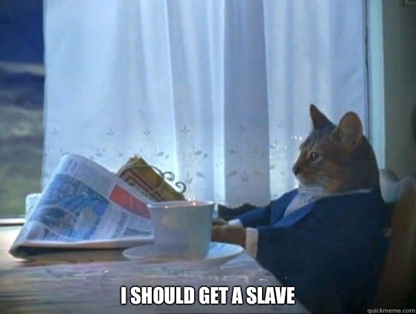  I should get a slave  morning realization newspaper cat meme