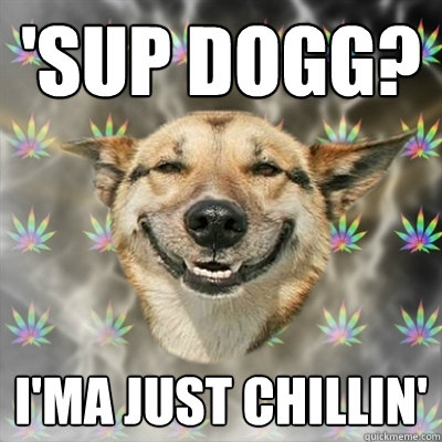 'sup dogg? I'ma just chillin'  Stoner Dog