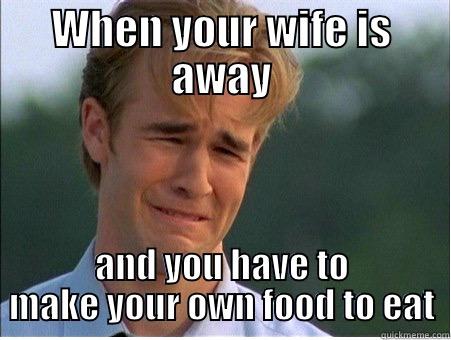 Wife away - WHEN YOUR WIFE IS AWAY AND YOU HAVE TO MAKE YOUR OWN FOOD TO EAT 1990s Problems