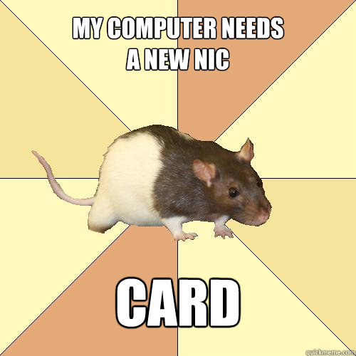 My computer needs 
a new NIC Card  Redundant Rat