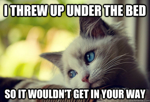 I threw up under the bed so it wouldn't get in your way  First World Problems Cat