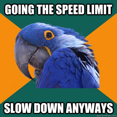 going the speed limit slow down anyways  Paranoid Parrot