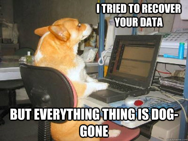 I tried to recover your data But everything thing is dog-gone - I tried to recover your data But everything thing is dog-gone  Tech Support Dog