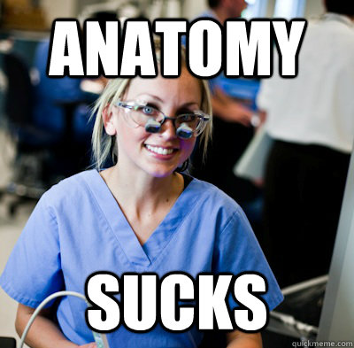 anatomy sucks - anatomy sucks  overworked dental student