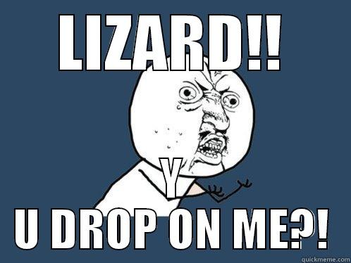 LIZARD!! Y U DROP ON ME?! Y U No