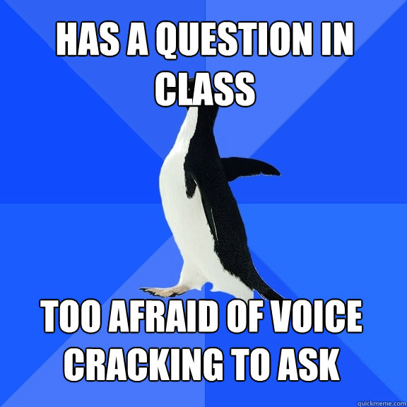 Has a question in class Too afraid of voice
cracking to ask    Socially Awkward Penguin
