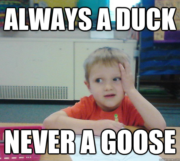 Always a duck Never a goose  