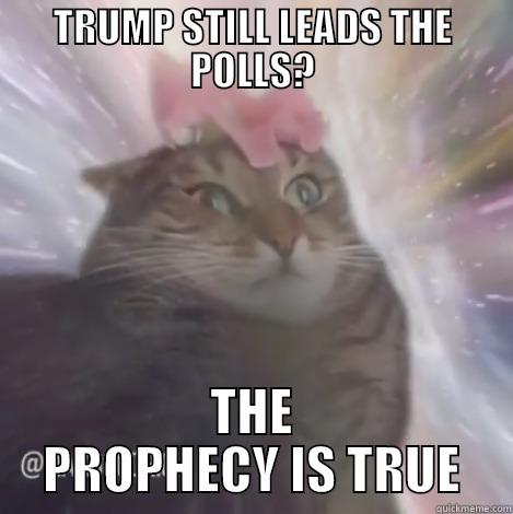 TRUMP STILL LEADS THE POLLS? THE PROPHECY IS TRUE Misc
