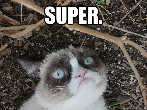 Super.  - Super.   Misc