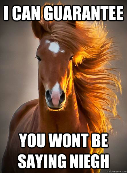 I can guarantee You wont be saying niegh - I can guarantee You wont be saying niegh  Ridiculously Photogenic Horse