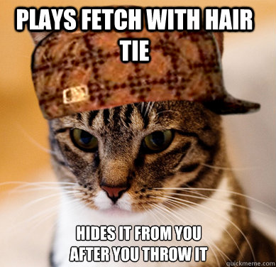 Plays fetch with hair tie hides it from you after you throw it  Scumbag Cat