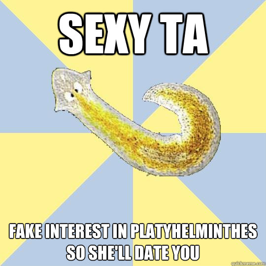 SEXY TA Fake interest in platyhelminthes so she'll date you - SEXY TA Fake interest in platyhelminthes so she'll date you  Bio Major Planarian