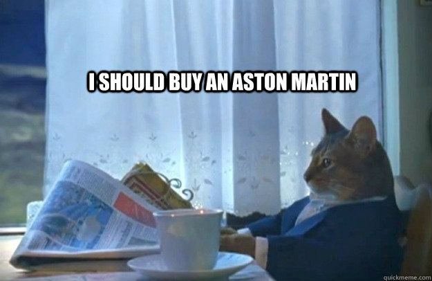 I SHOULD BUY AN ASTON MARTIN  Sophisticated Cat