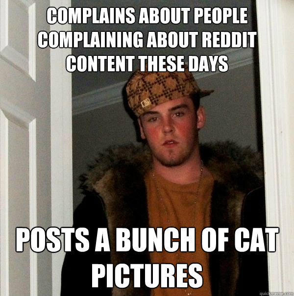 complains about people complaining about reddit content these days posts a bunch of cat pictures  Scumbag Steve